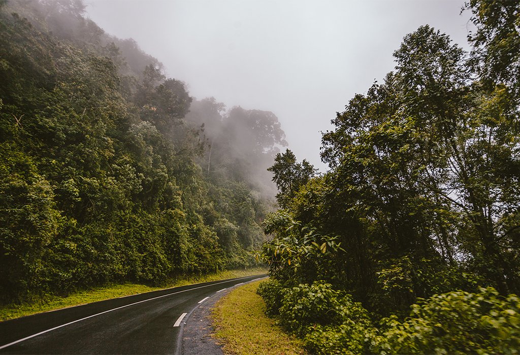 Nyungwe Forest Canopy Walk Rwanda